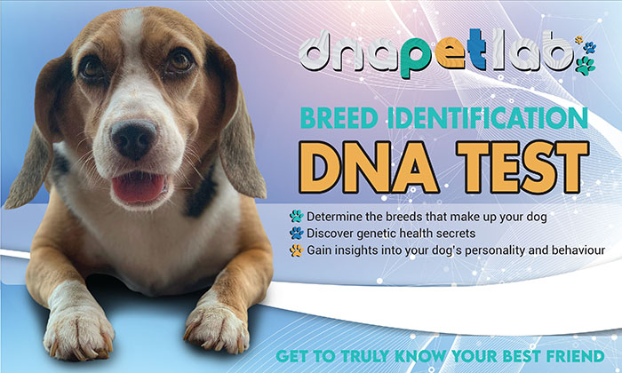 DNA Pet Lab Breed ID